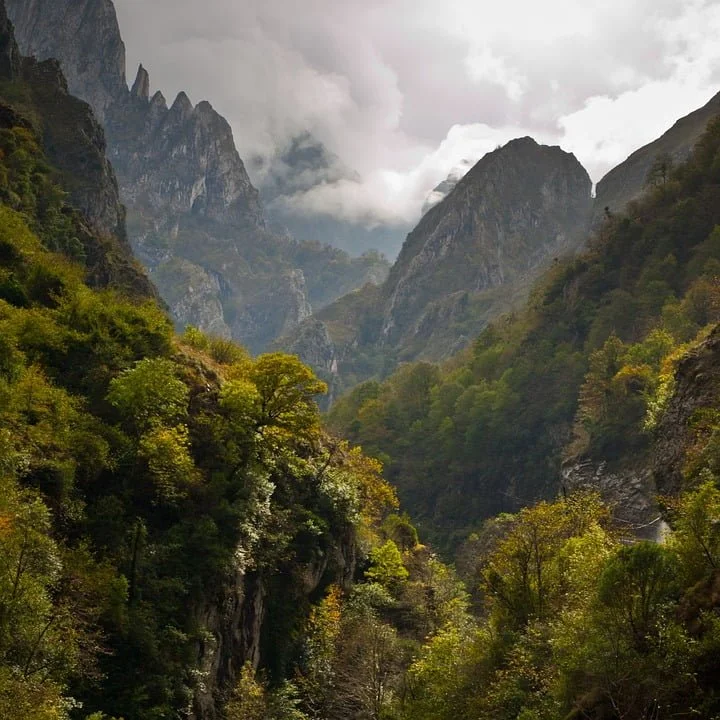 Picos de Europa National Park