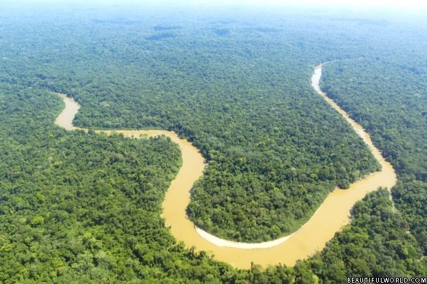 aerial-view-of-cononaco-river-amazon-rainforest