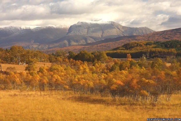 ben-nevis-autumn