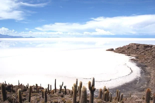 cactus-island-salar-de-uyuni