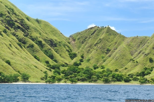 komodo-national-park-landscape