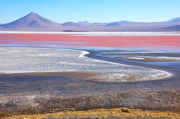 laguna-colorada-salar-de-uyuni