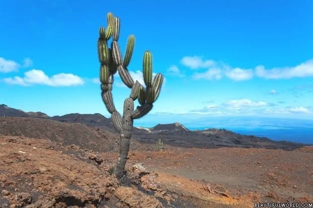 sierra-negra-volcano
