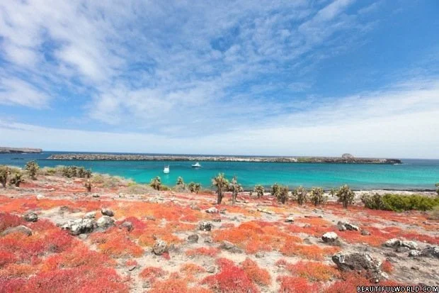 south-plaza-island-galapagos
