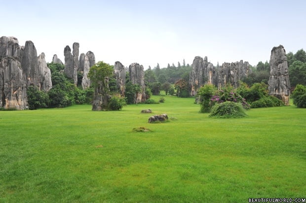 stone-forest-national-park-yunnan-province